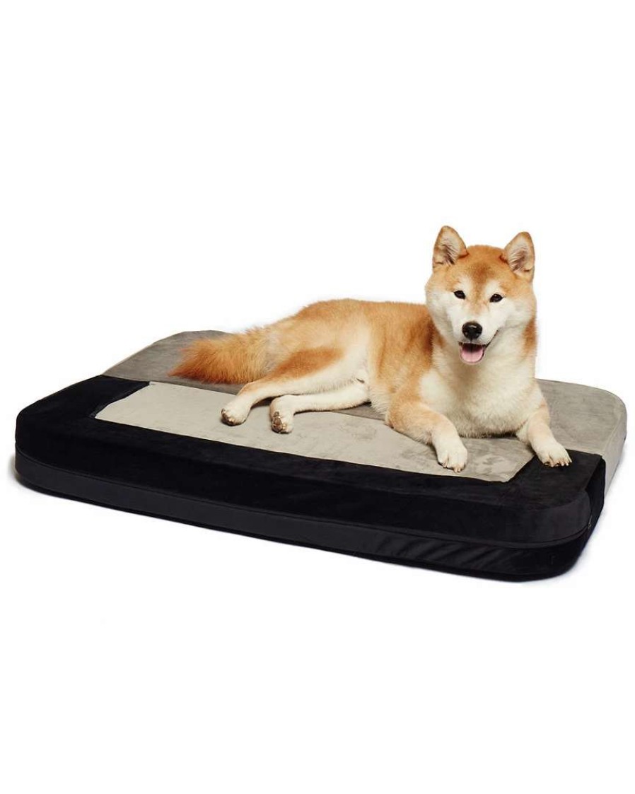 Pet Supplies * | Precious Tails 2-In-1 Convertible Bolstered Pet Bed Home Pet Supplies